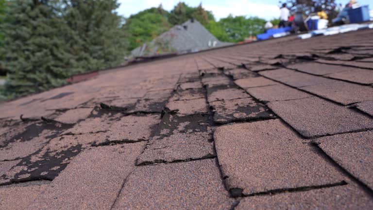 Reliable Bath, MI Roofing Services Solutions